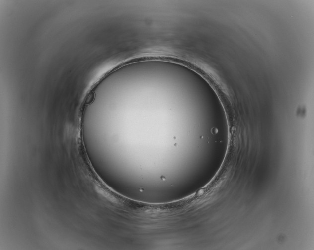 X0000097001366200802151405