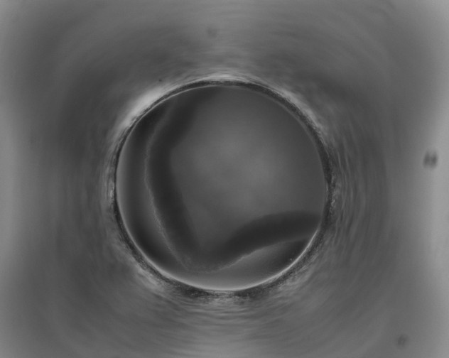 X0000097001367200802151405