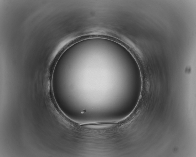 X0000097001368200802151405