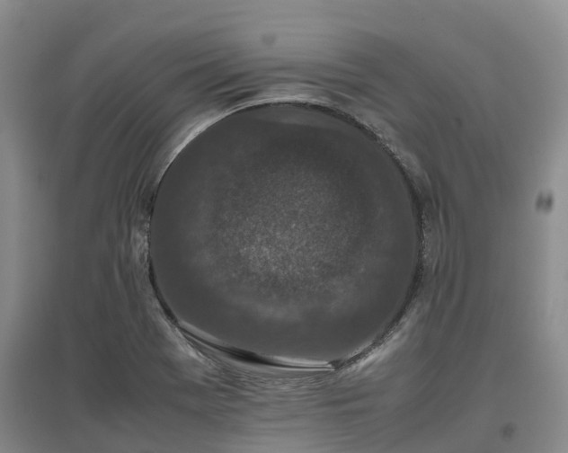 X0000097001369200802151405