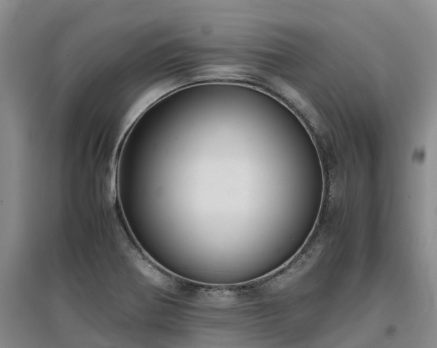 X0000097001370200802151405
