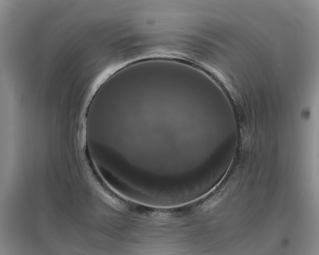 X0000097001371200802151405