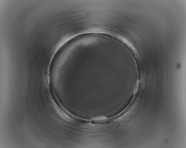 X0000097001372200802151405