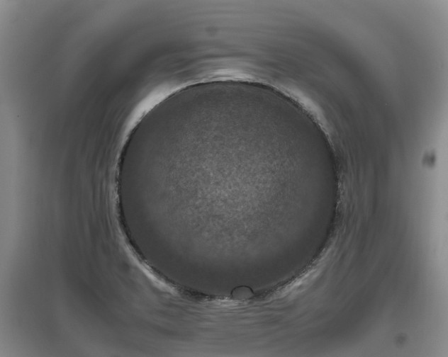 X0000097001373200802151405