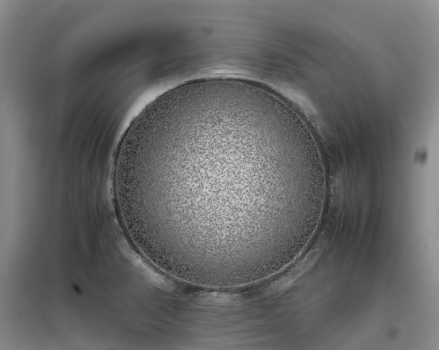 X0000097001374200802151405