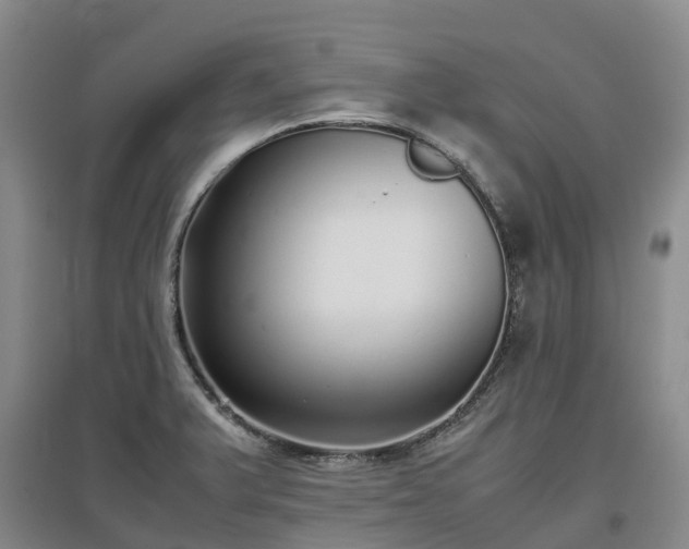 X0000097001375200802151405