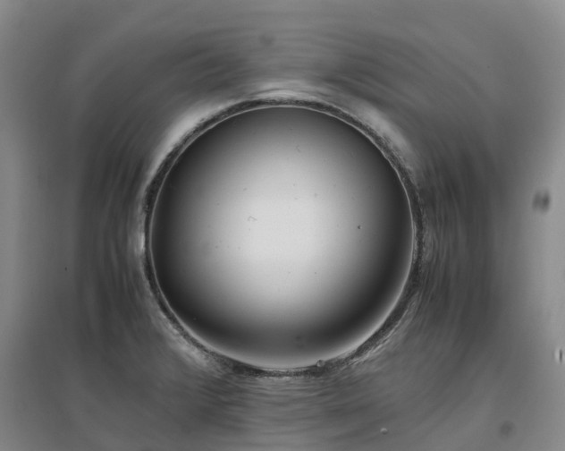 X0000097001376200802151405