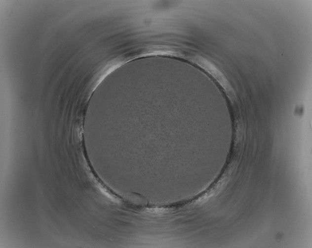 X0000097001377200802151405