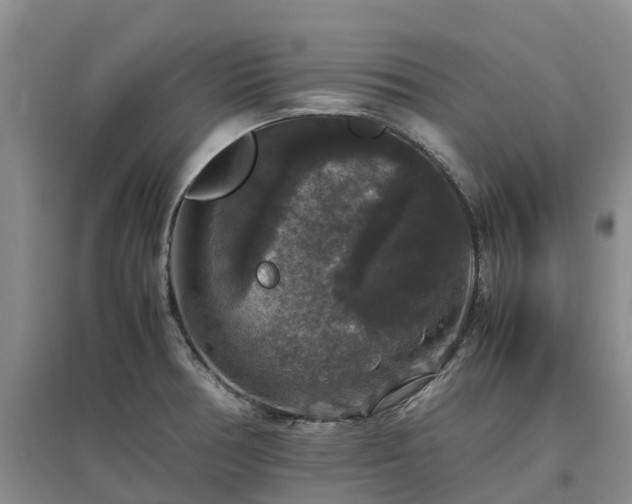 X0000097001378200802151405