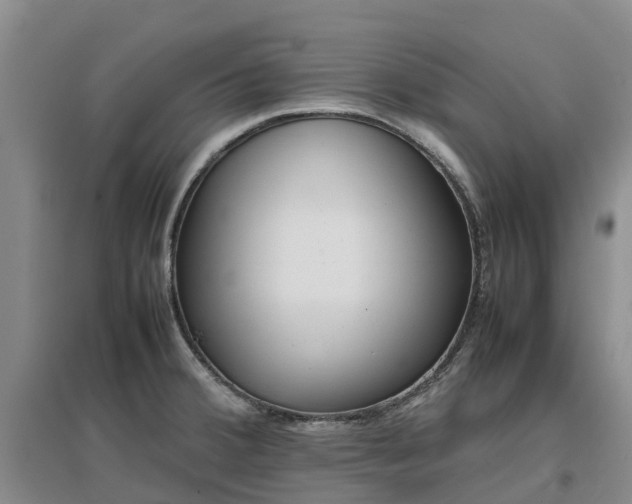 X0000097001380200802151405