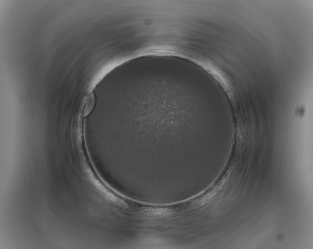 X0000097001382200802151405