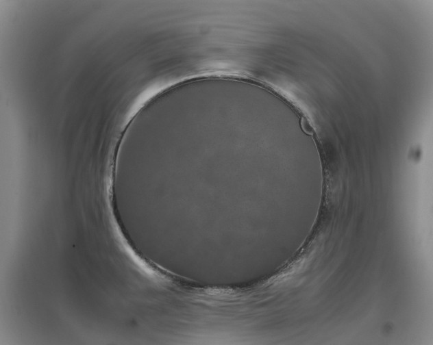 X0000097001383200802151405
