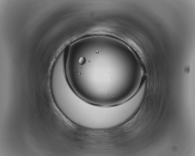 X0000097001384200802151405