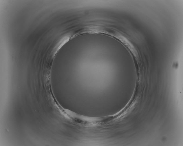 X0000097001385200802151405