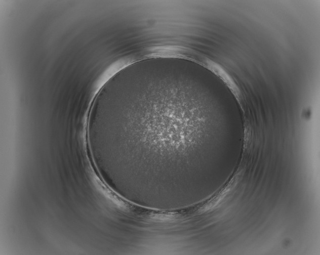 X0000097001386200802151405