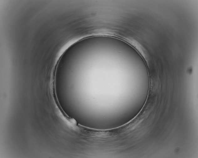 X0000097001387200802151405