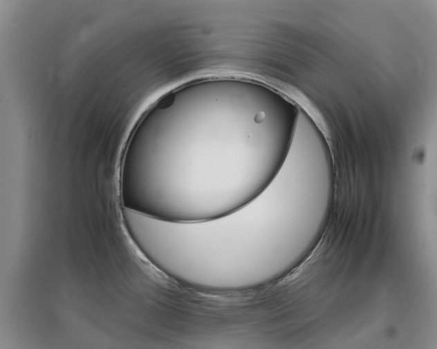 X0000097001388200802151405