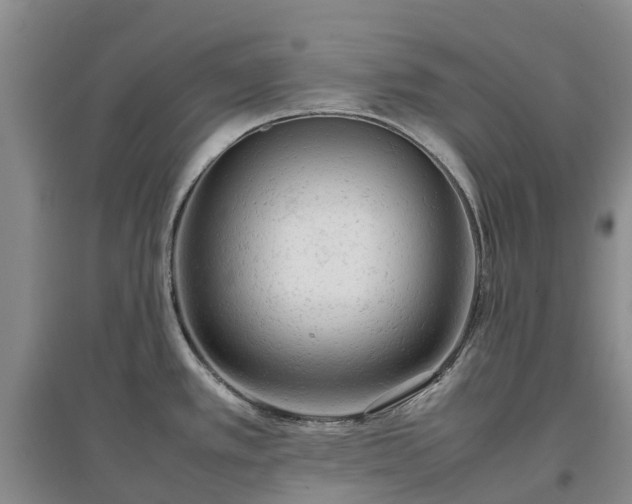 X0000097001389200802151405