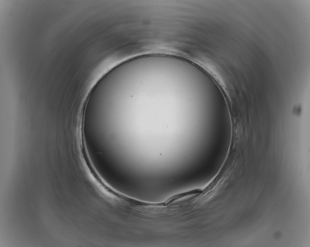 X0000097001391200802151404