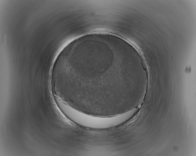 X0000097001392200802151404