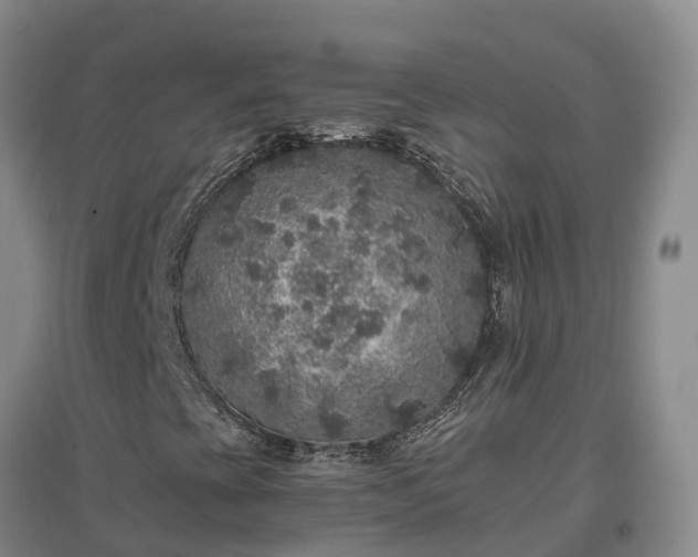 X0000097001393200802151404