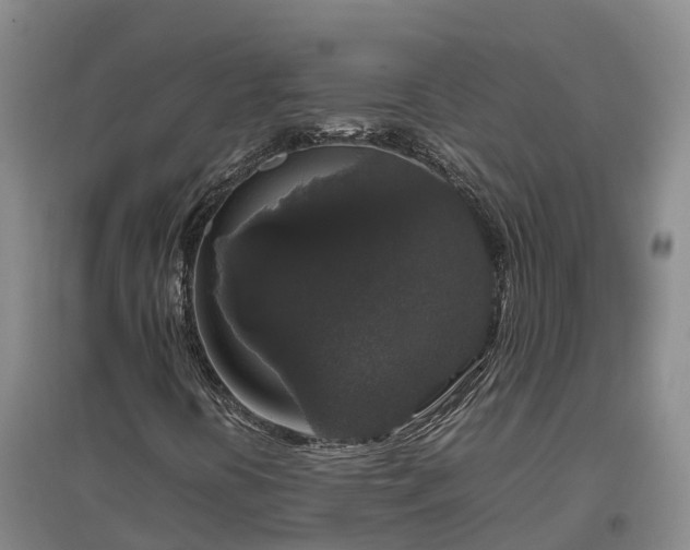 X0000097001394200802151404