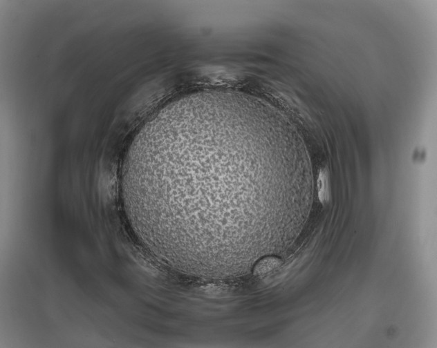 X0000097001395200802151404