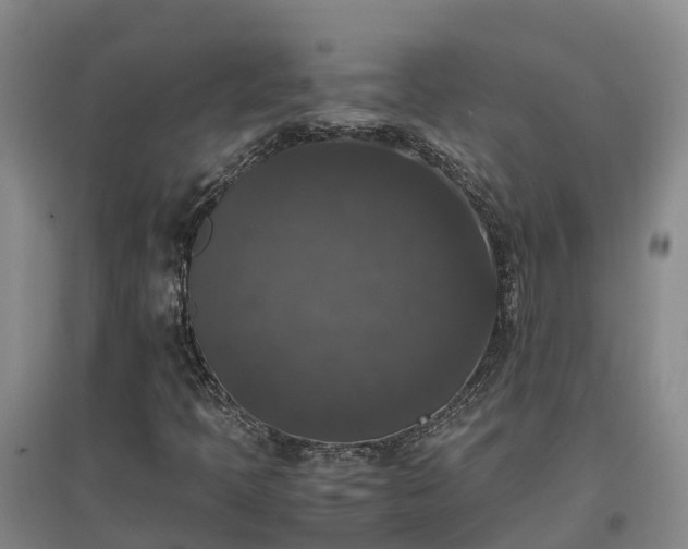 X0000097001397200802151404