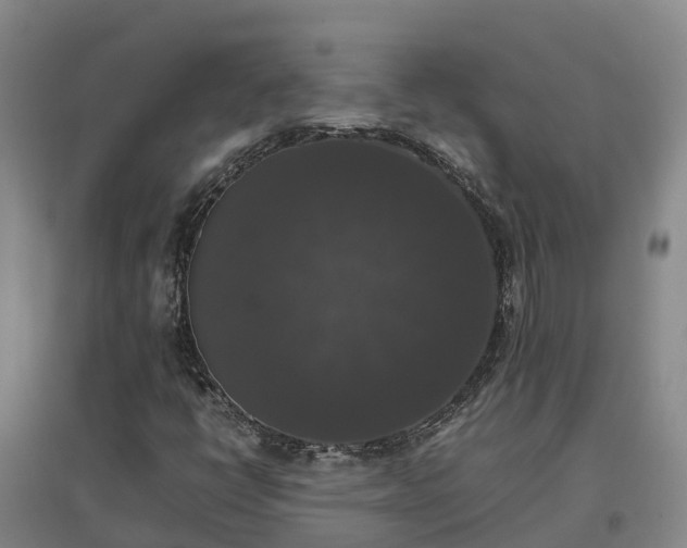 X0000097001398200802151404