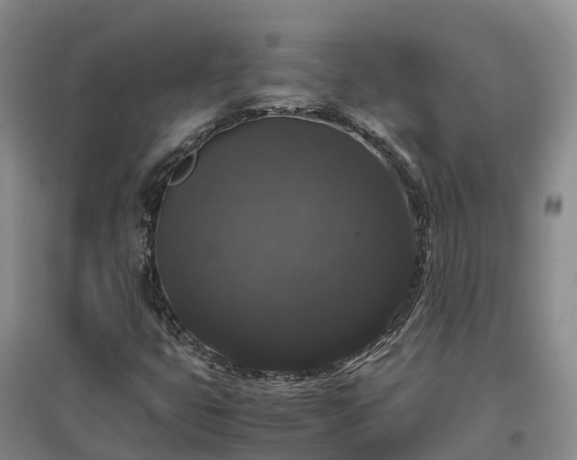 X0000097001399200802151404