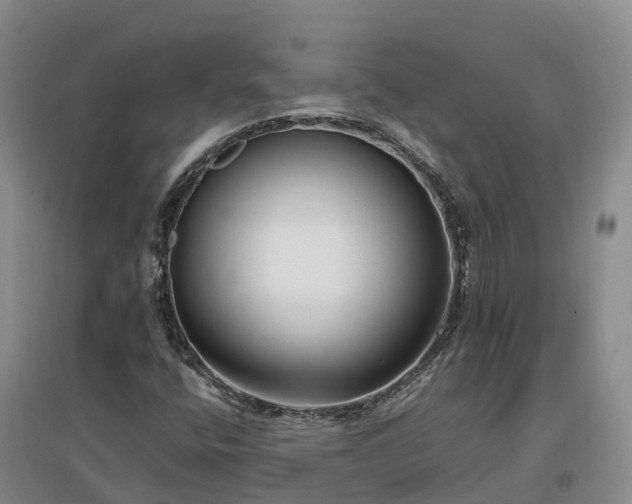 X0000097001400200802151404