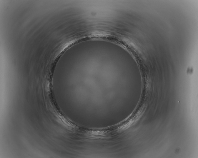 X0000097001401200802151404