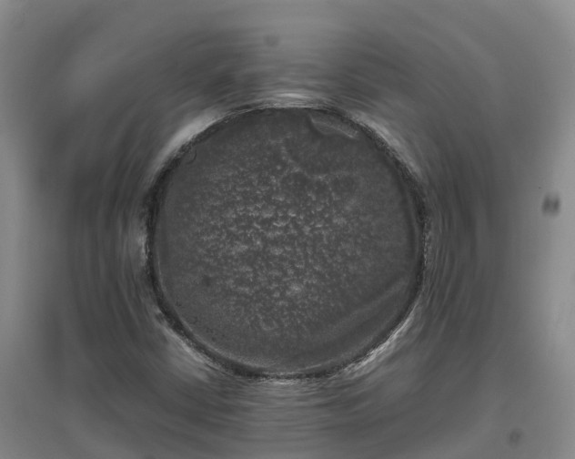 X0000097001402200802151404