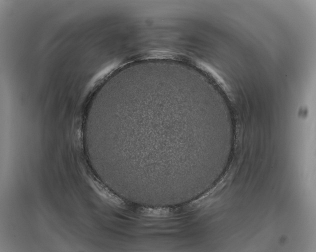 X0000097001403200802151404