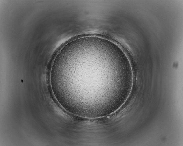 X0000097001404200802151404
