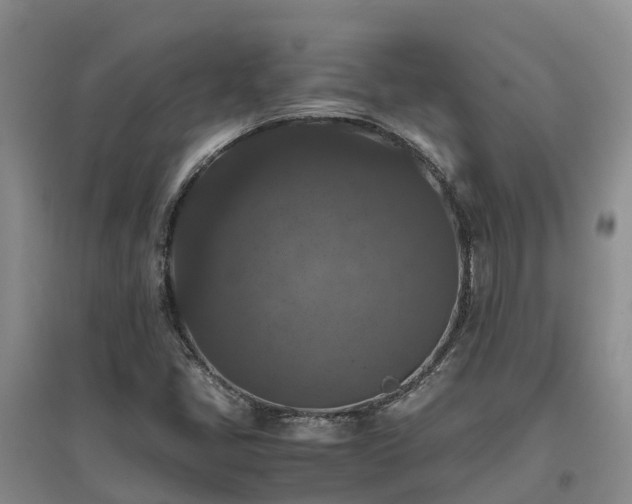X0000097001405200802151404