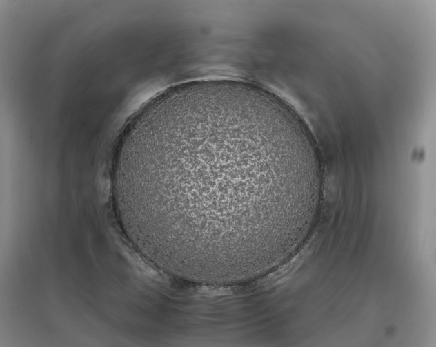 X0000097001407200802151404