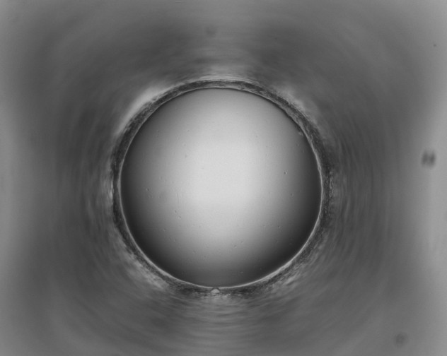 X0000097001408200802151404