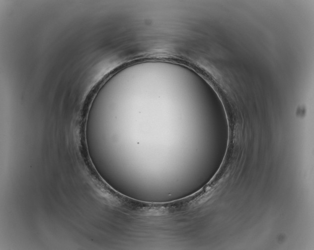 X0000097001410200802151404