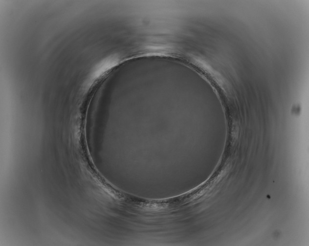 X0000097001411200802151404