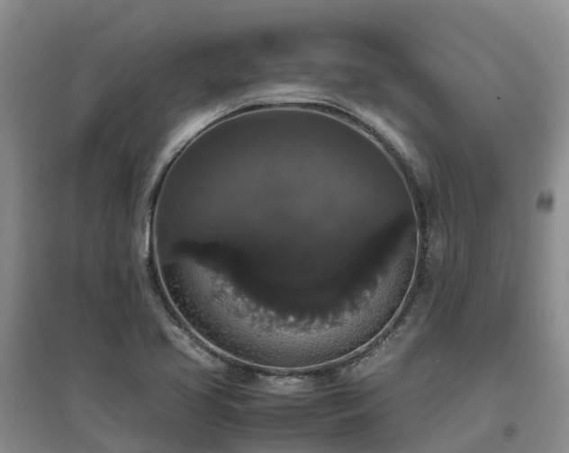 X0000097001413200802151404