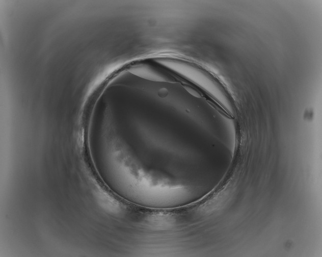X0000097001414200802151404