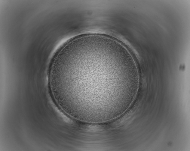X0000097001416200802151404