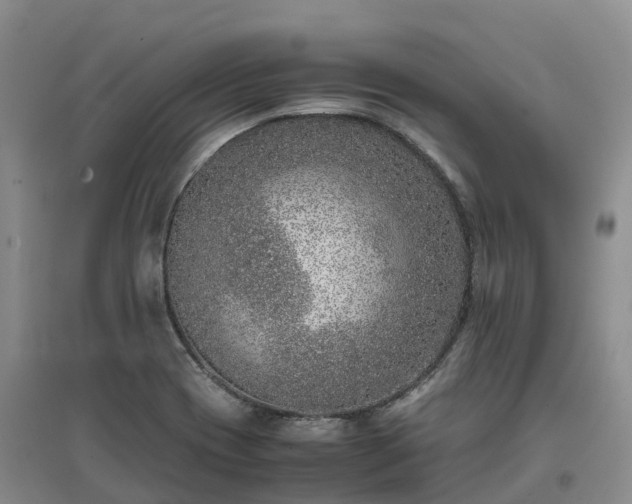 X0000097001417200802151404