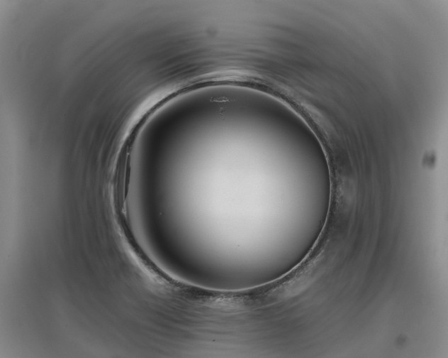 X0000097001418200802151404