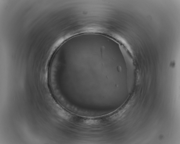 X0000097001419200802151404
