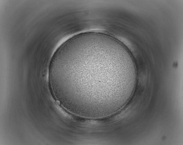 X0000097001420200802151404