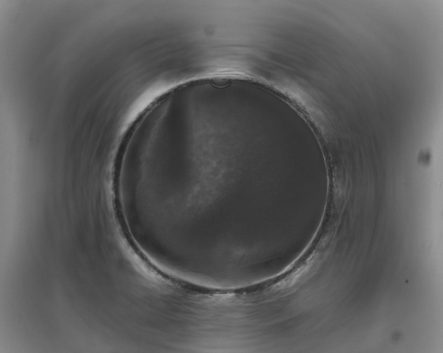 X0000097001422200802151404