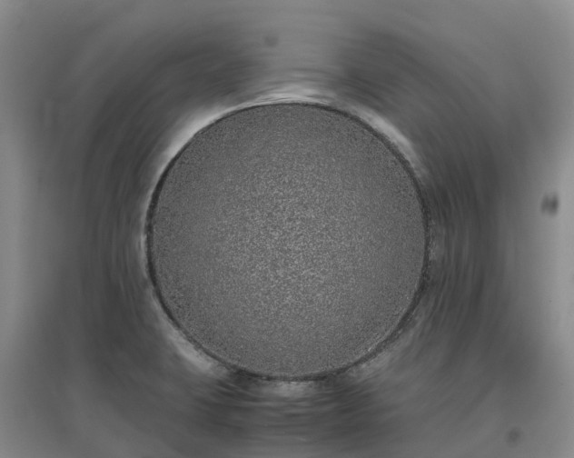 X0000097001423200802151404