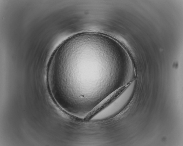 X0000097001424200802151404